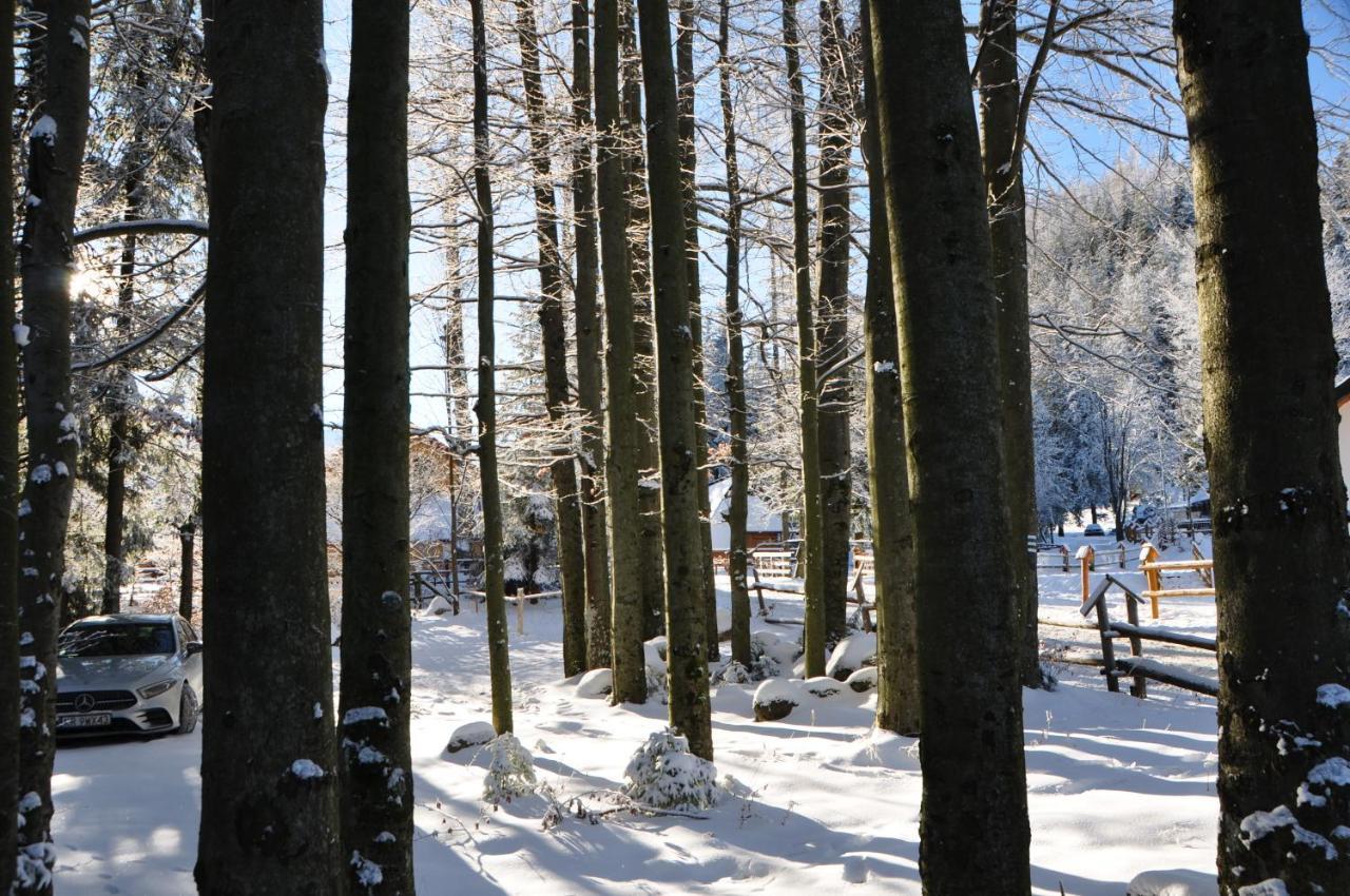 Gosciniec Kuznice Zakopane Exteriér fotografie